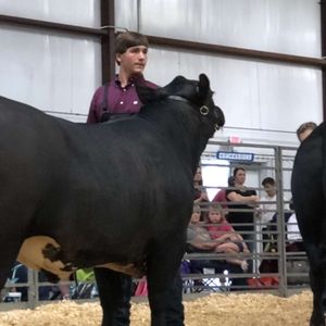 Meet your Posher, Jesse